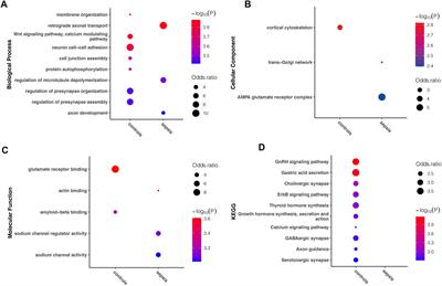 Brain Epitranscriptomic Analysis Revealed Altered A-to-I RNA Editing in Septic Patients